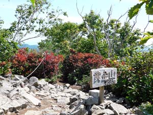 山頂