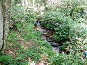 下山途中で