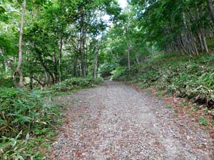登山口の標示板から奥へ