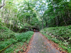 登山口の標示板から奥へ
