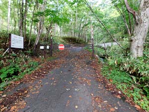 登山口の標示板から奥へ