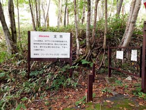 登山口の標示板から奥へ