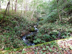 登山道へ進む