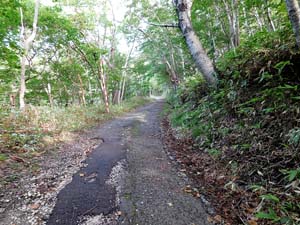 登山道へ進む