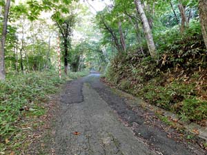 登山道へ進む