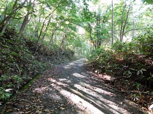登山道へ進む