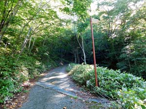 登山道へ進む