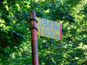 登山道を進む