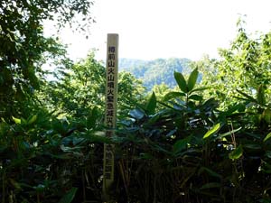 登山道へ進む