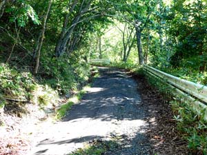 登山道へ進む