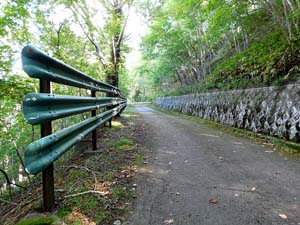 登山道へ進む