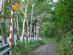 2600mへ