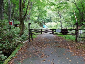 登山口の標示板から奥へ