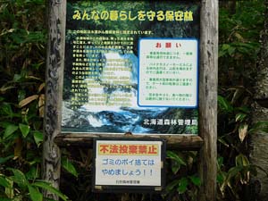 ゲート付近の様子