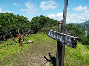 山頂から