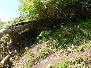 八郷目へ