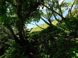 山頂へ