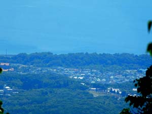 山頂から