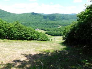 下山の様子