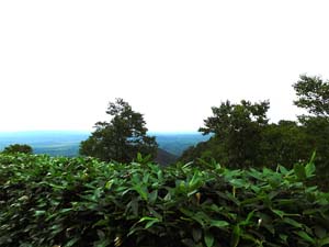 山頂へ