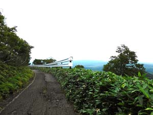 山頂へ
