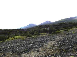 望岳台から雲ノ平分岐へ