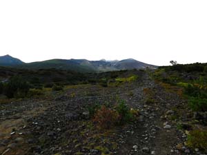 望岳台から雲ノ平分岐へ