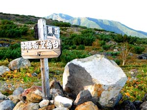 望岳台から雲ノ平分岐へ