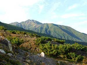 望岳台から雲ノ平分岐へ