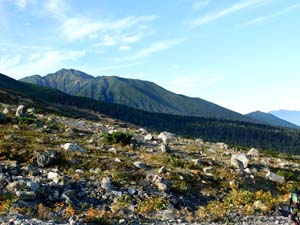 望岳台から雲ノ平分岐へ