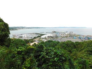 ウッドデッキ、展望台から