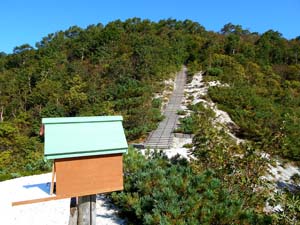 入山届の箱