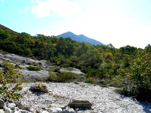 ニトヌプリ分岐へ