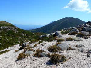 イワオヌプリ山頂へ