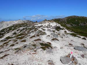 イワオヌプリ山頂へ