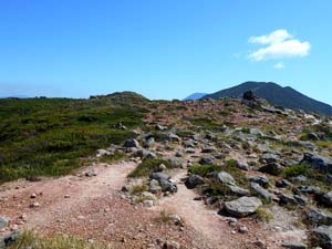イワオヌプリ山頂へ