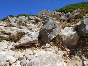 噴火口跡から先へ