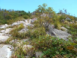 噴火口跡から先へ