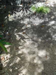 噴火口跡から先へ