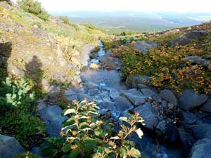 硫黄沢川