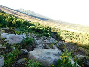 函状の沢 へ向かう