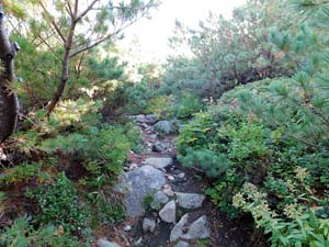 函状の沢 へ向かう