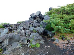 函状の沢 へ向かう途中で