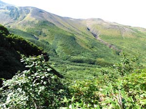 美瑛岳分岐へ