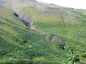美瑛岳分岐へ
