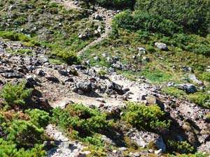 美瑛岳分岐