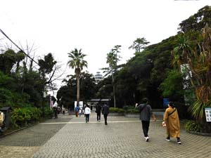 シーキャンドルへ向かうメイン道路から