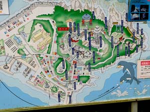 シーキャンドルへ向かうメイン道路から