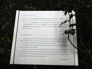 シーキャンドルから奥津宮へ向かう道から