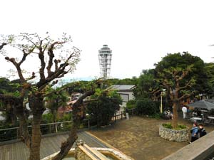 亀ヶ岡広場付近から